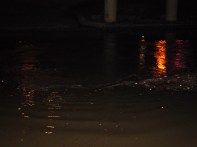 dsc03464