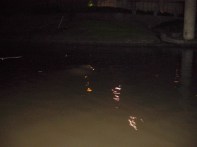 dsc03472