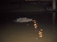 dsc03475
