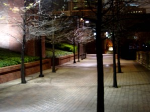dsc03481
