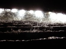 dsc03492